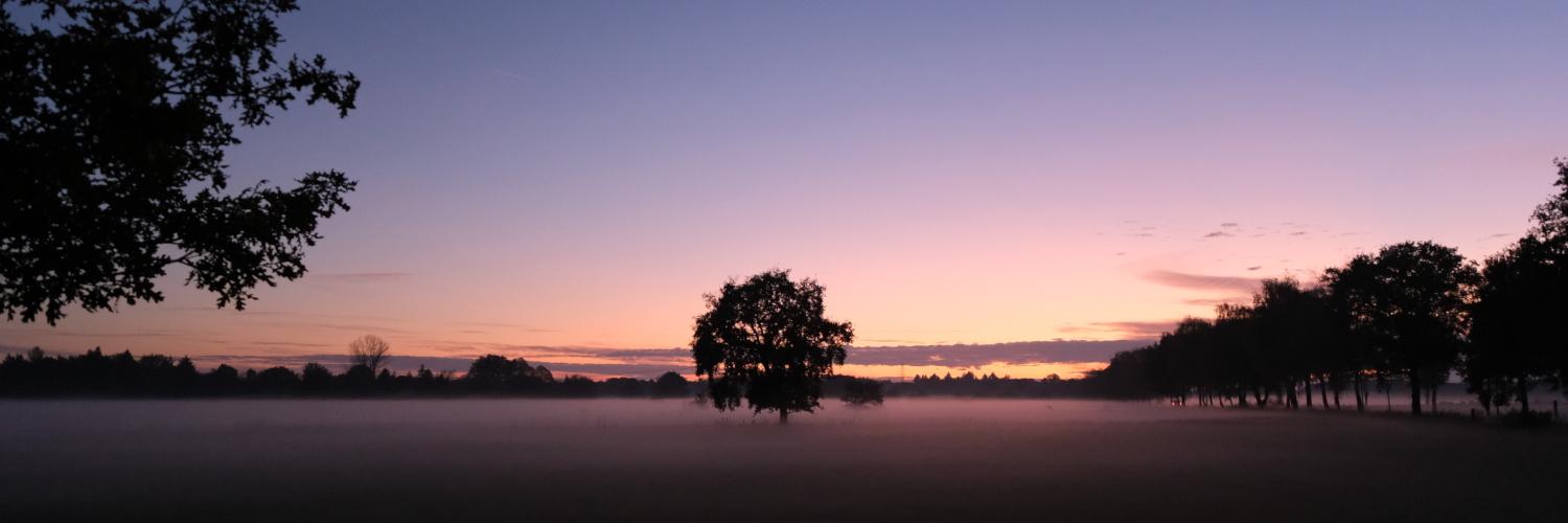 Header Image