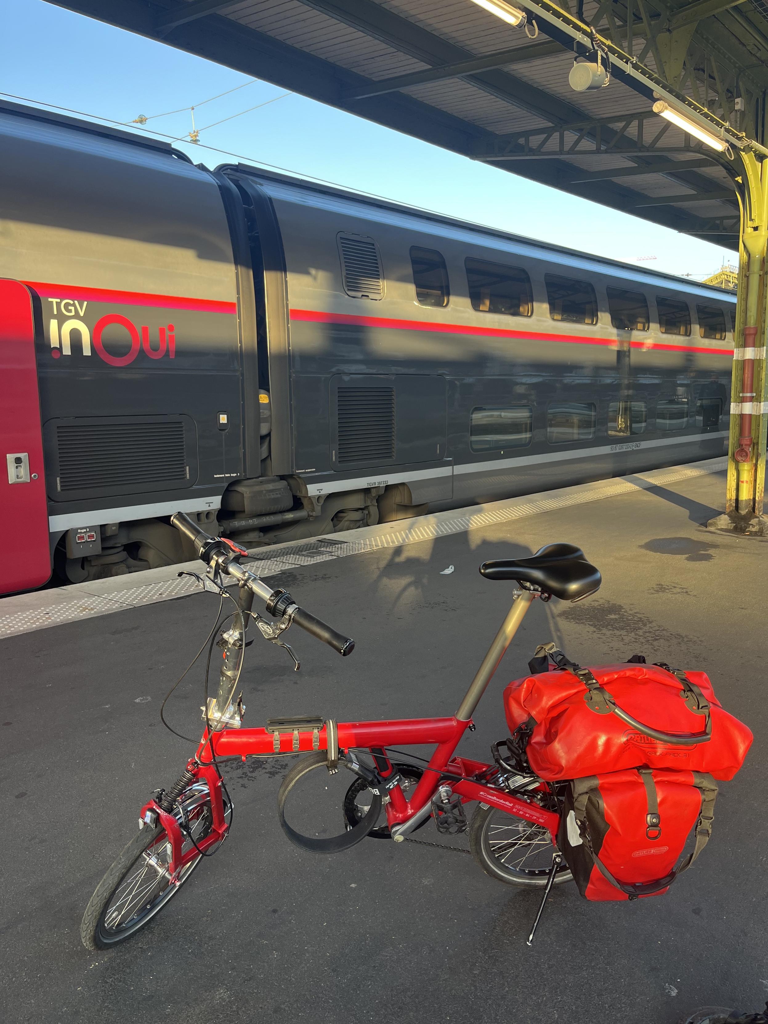 Birdy in front of a TGV