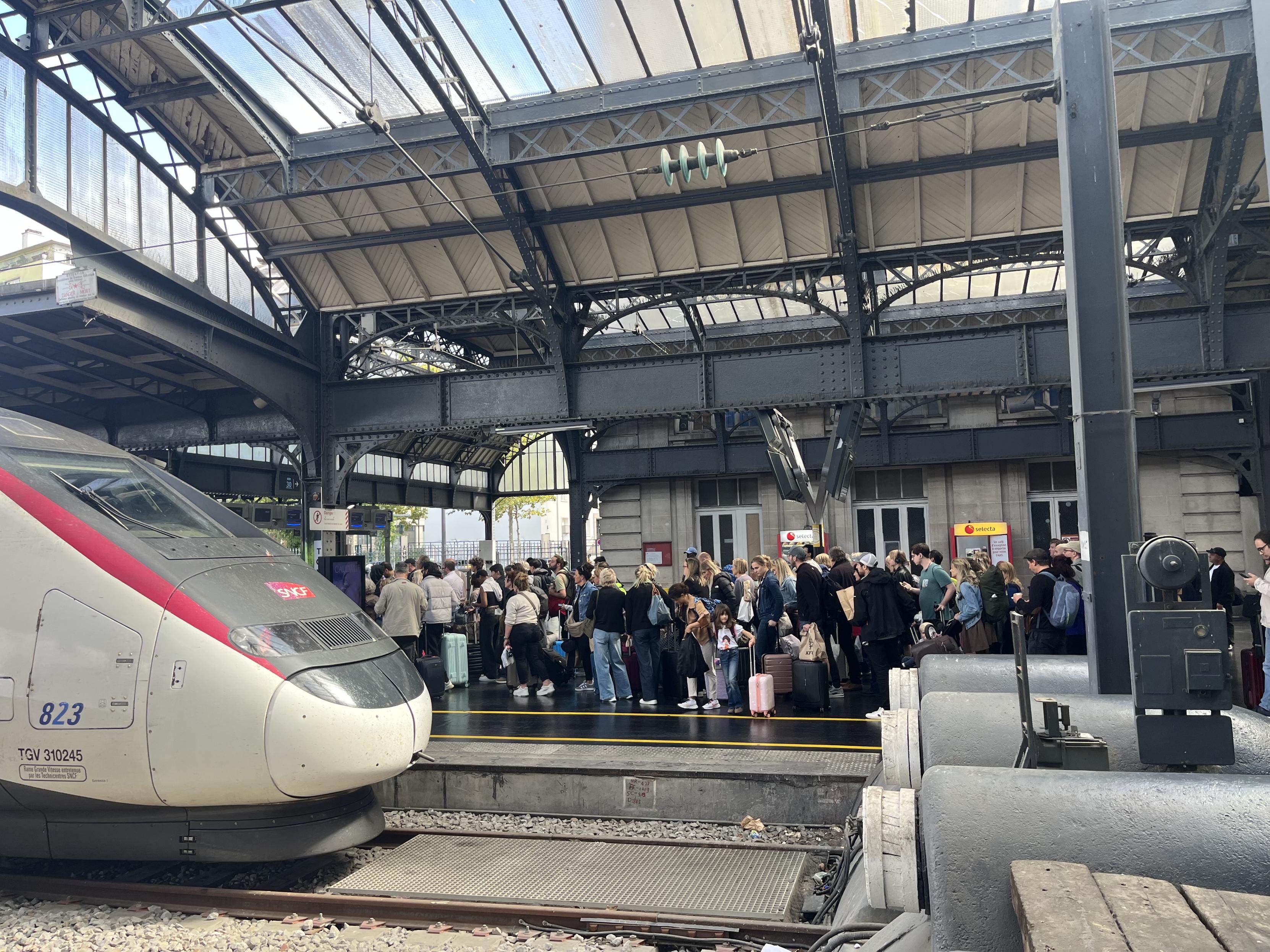 People queuing for a TGV at Paris Est