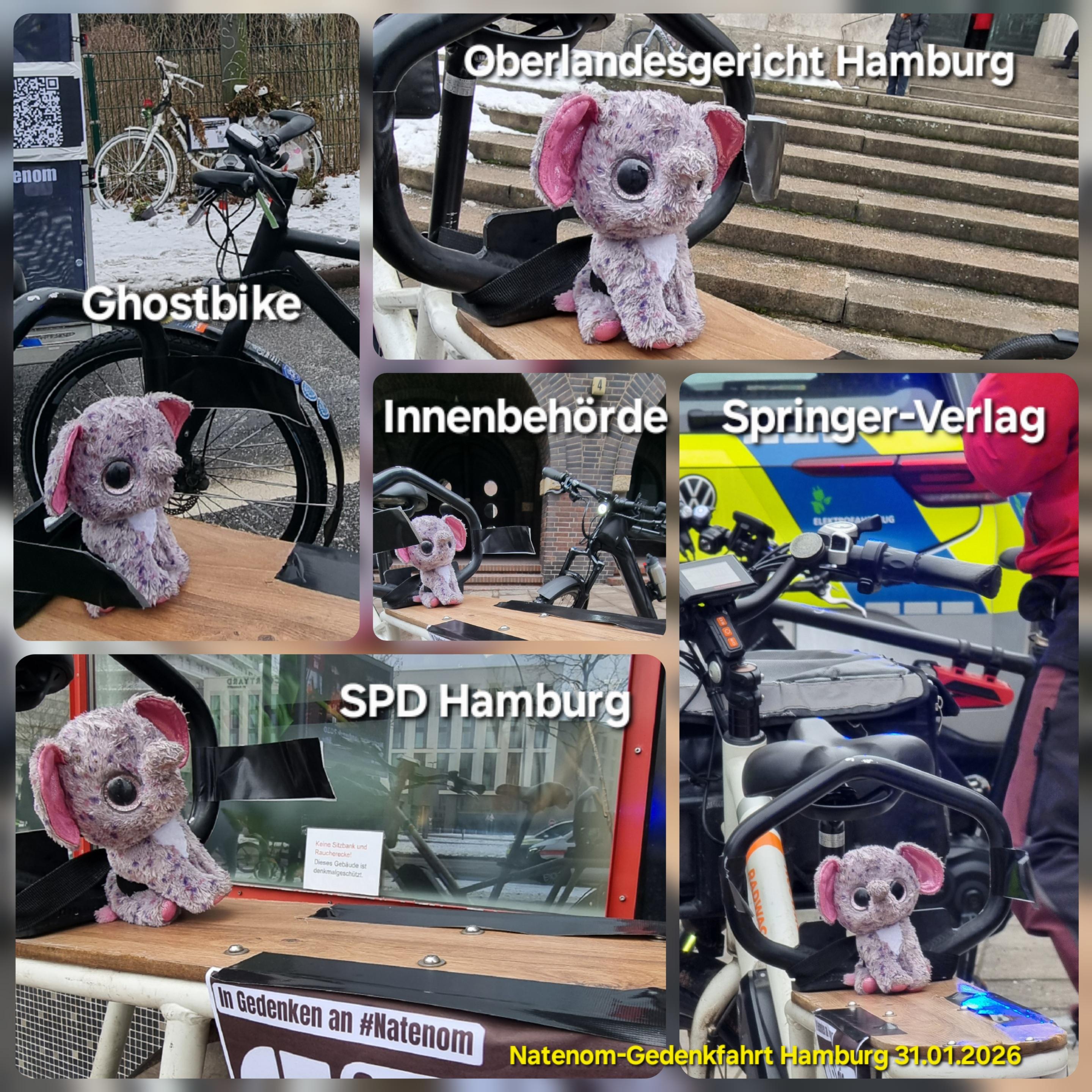 Ein kleiner Elefant erkundete am 31.01.2026 mit 20 Radfahrenden Hamburg und suchte die Orte auf von Verantwortlichen für Verkehrssicherheit: SPD Hamburg, Innenbehörde, Springer-Verlag, Unfallstelle, Oberlandesgericht. Viele Grüße an Kagube!