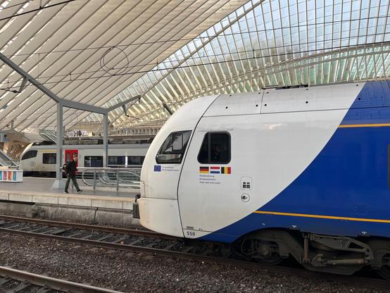 Drielandentrein in Liege