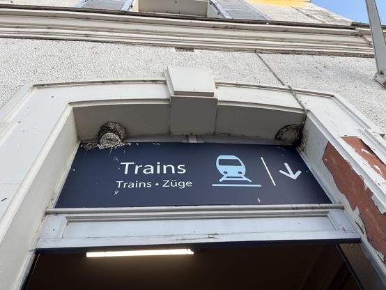 Two bird nests above a SNCF sign 