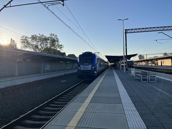 Newag Griffin arriving at platform 